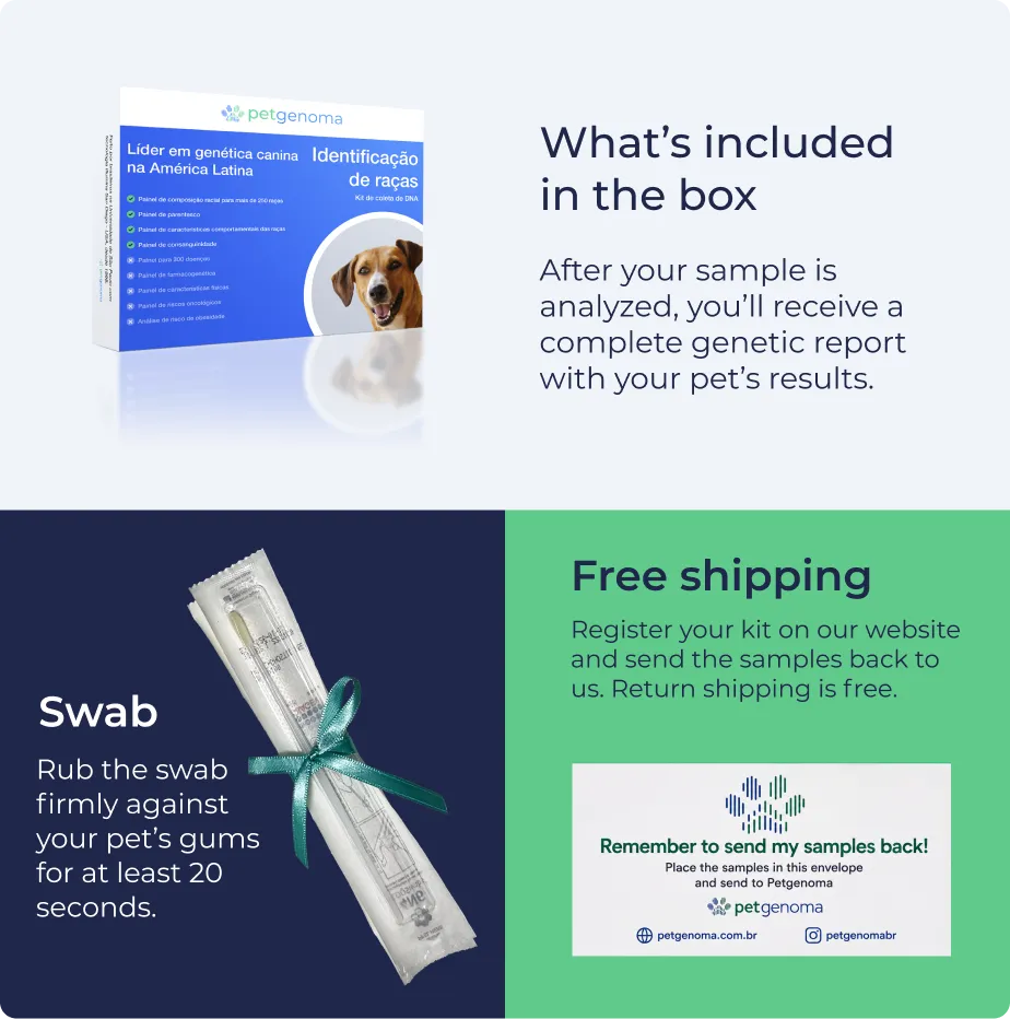 Product Identificação de raças