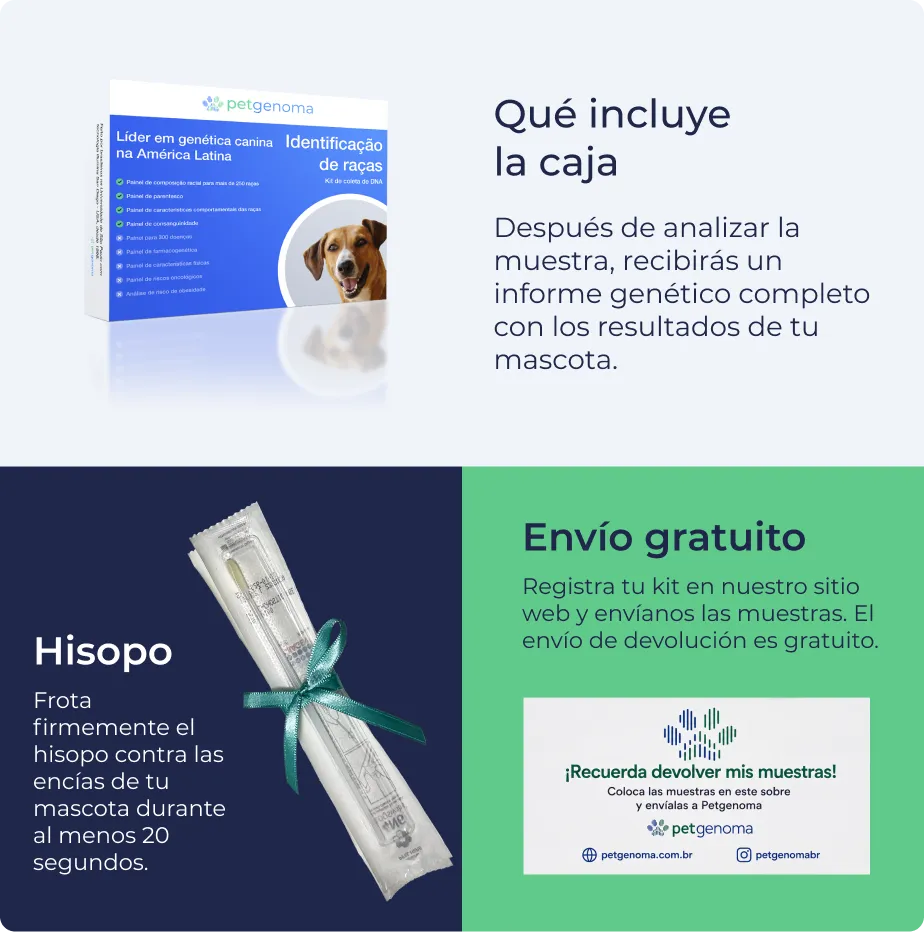 Producto Identificação de raças