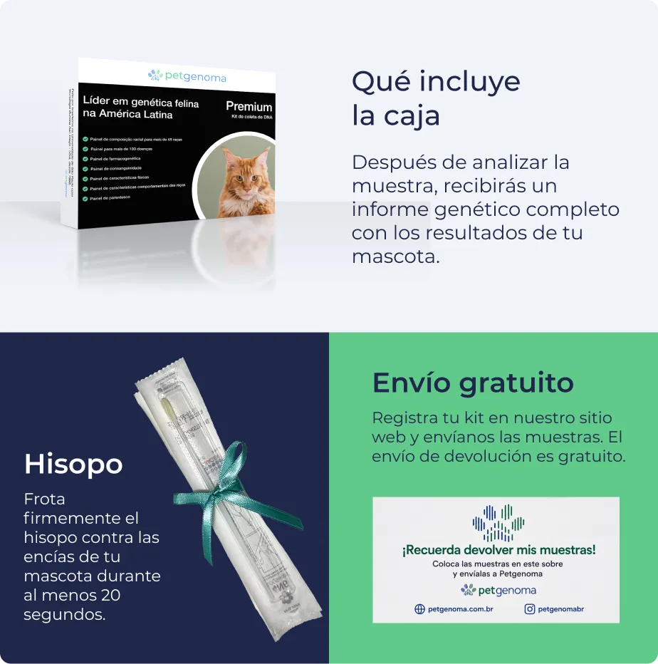 Producto Premium Gatos