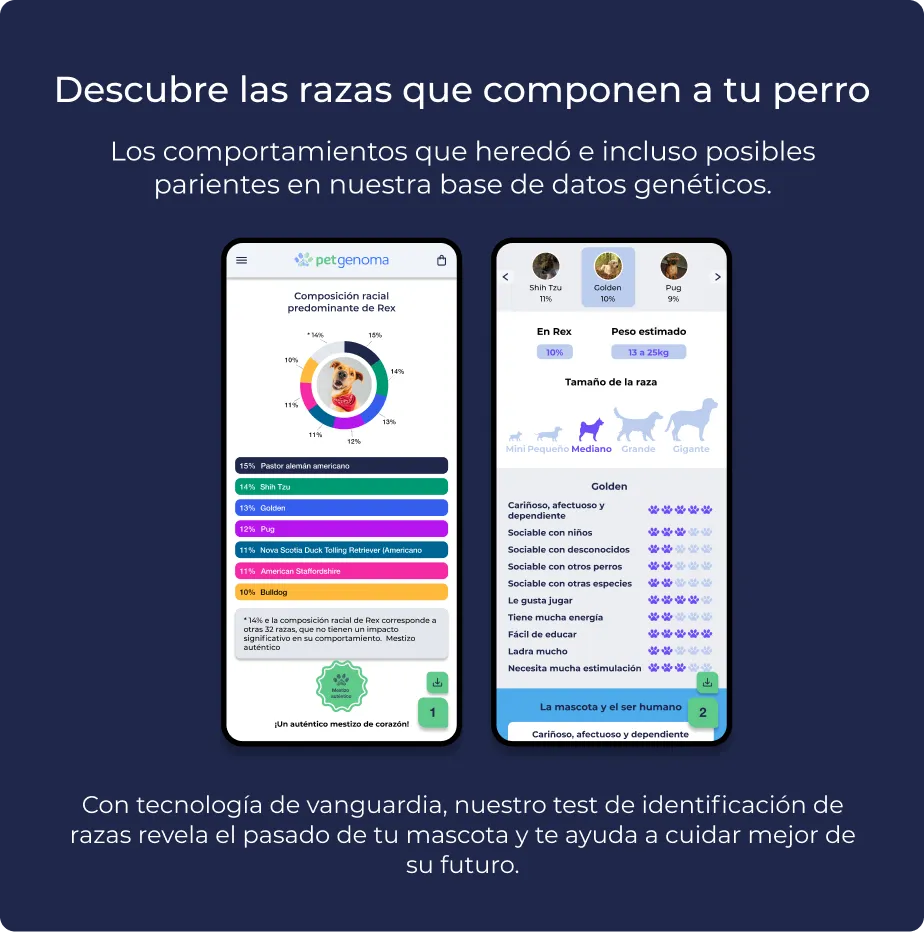 Producto Premium