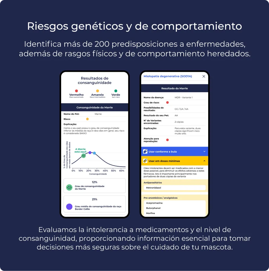 Producto Premium