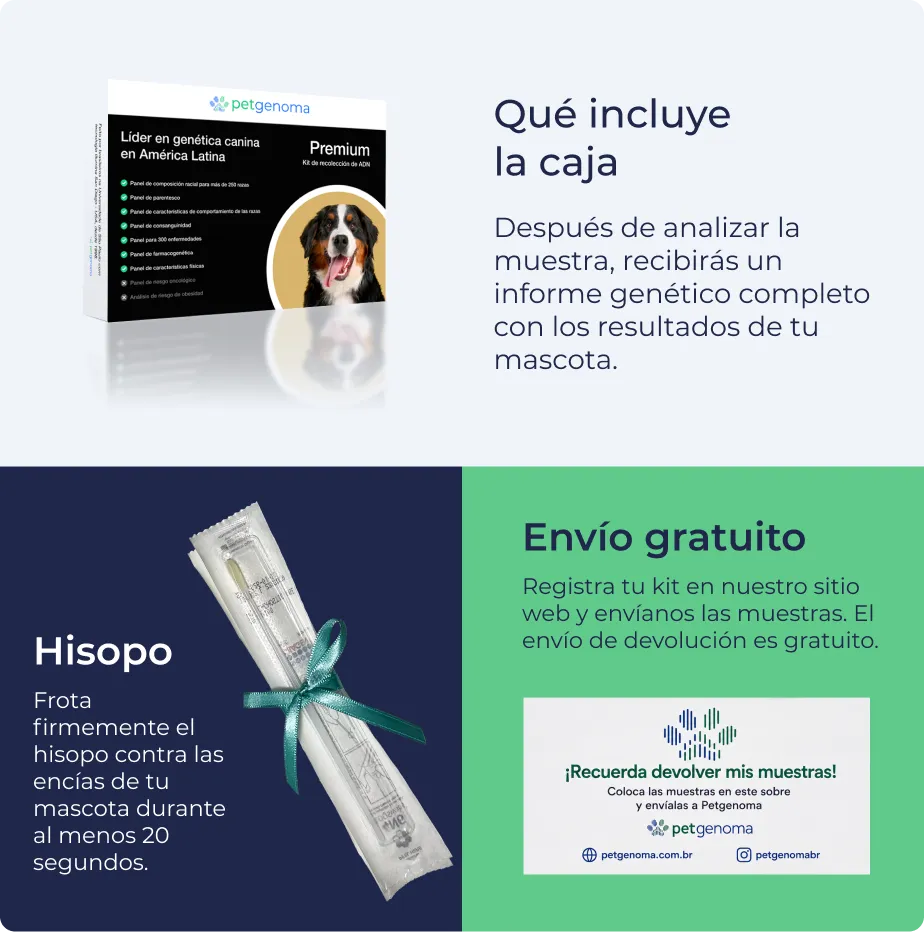 Producto Premium