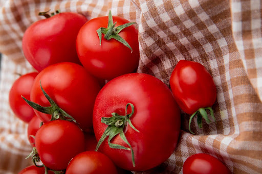 dog-can-eat-tomatoes-1