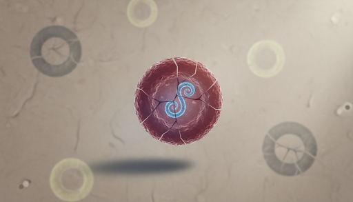 canine-ehrlichiosis-01