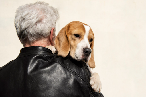 dog-age-01