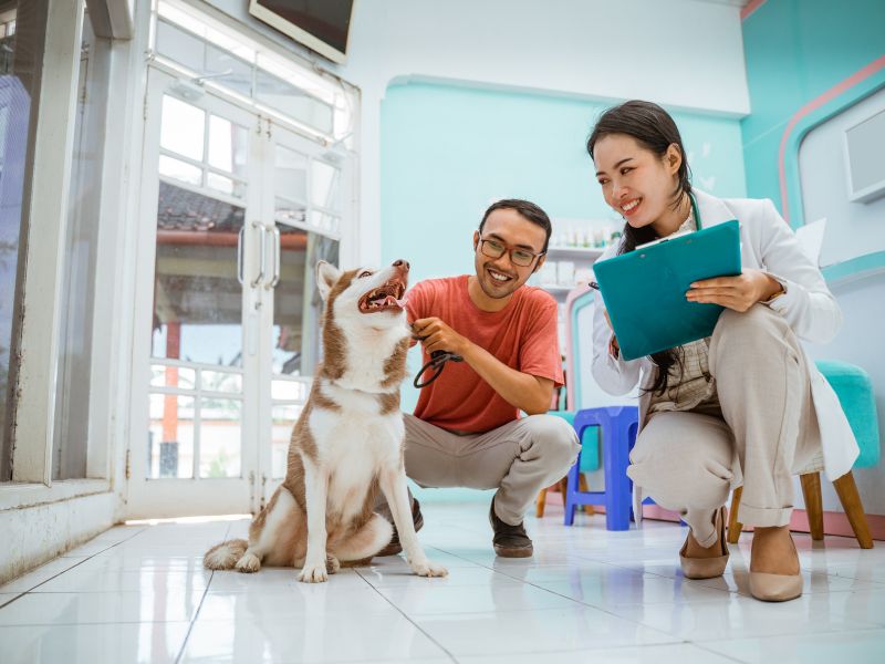 dog-heartworm-2