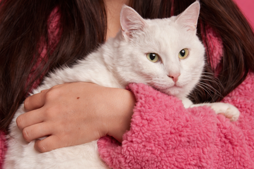 names-for-cats-01