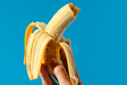 dog-can-eat-bananas-01